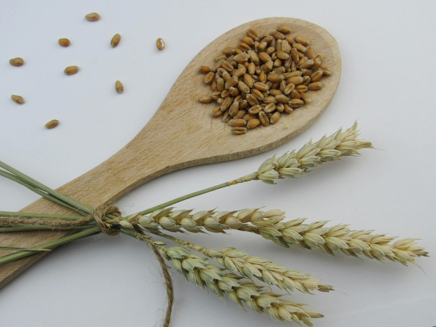 brown wooden spoon with brown wheat grains