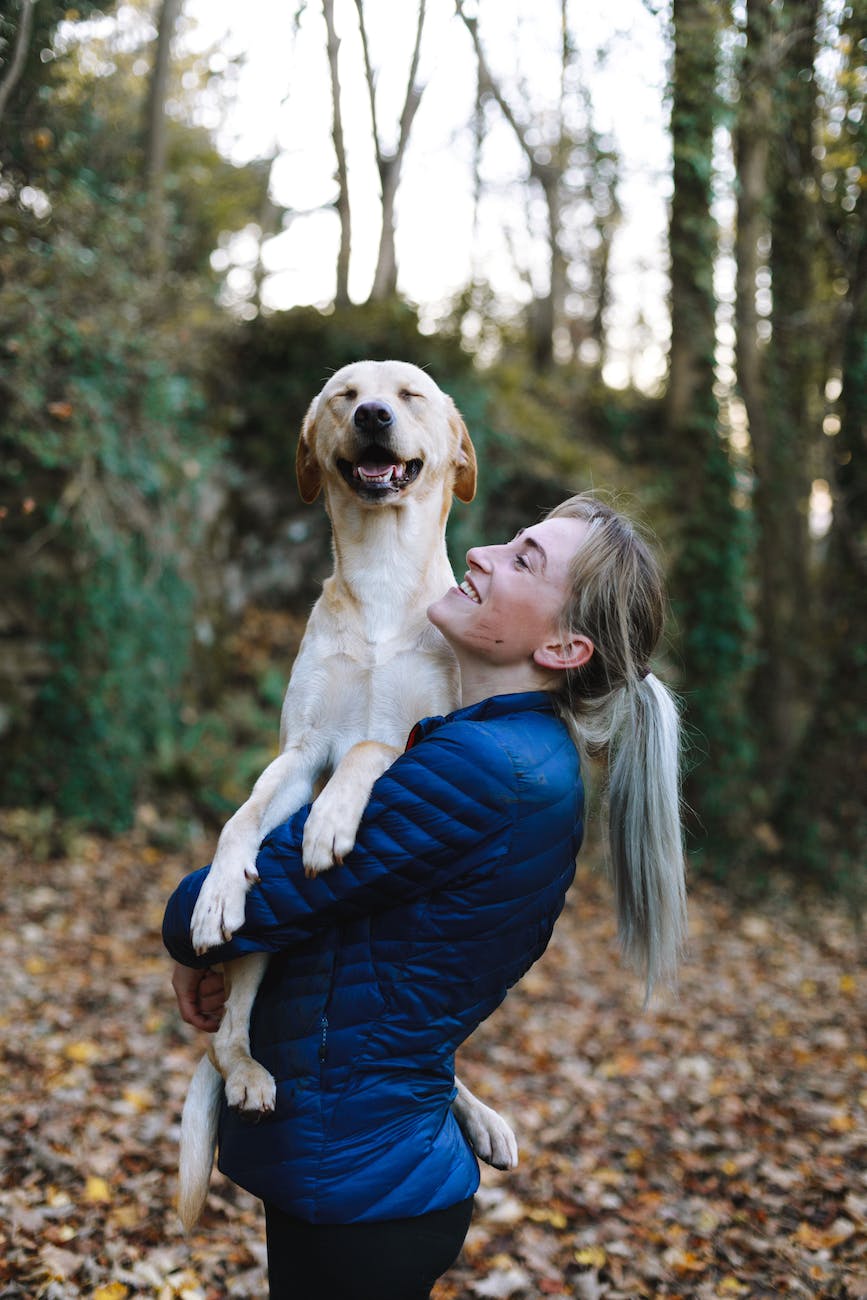 woman carrying adult fawn dog