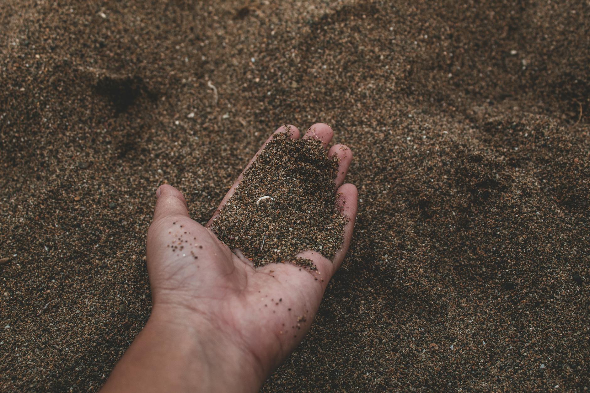 close up photo of person holding sand