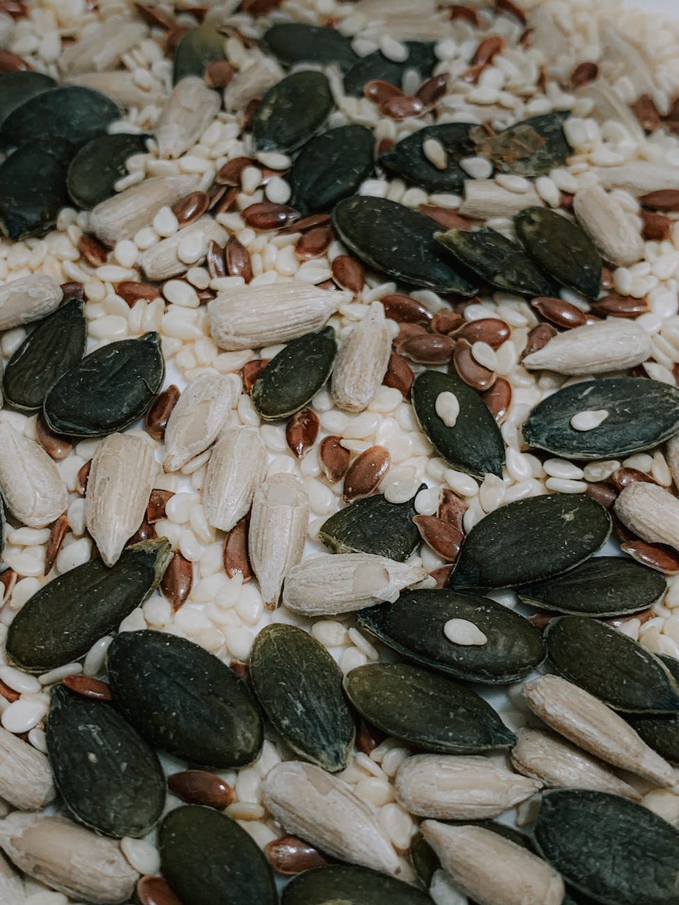 various raw mixed seeds scattered on table