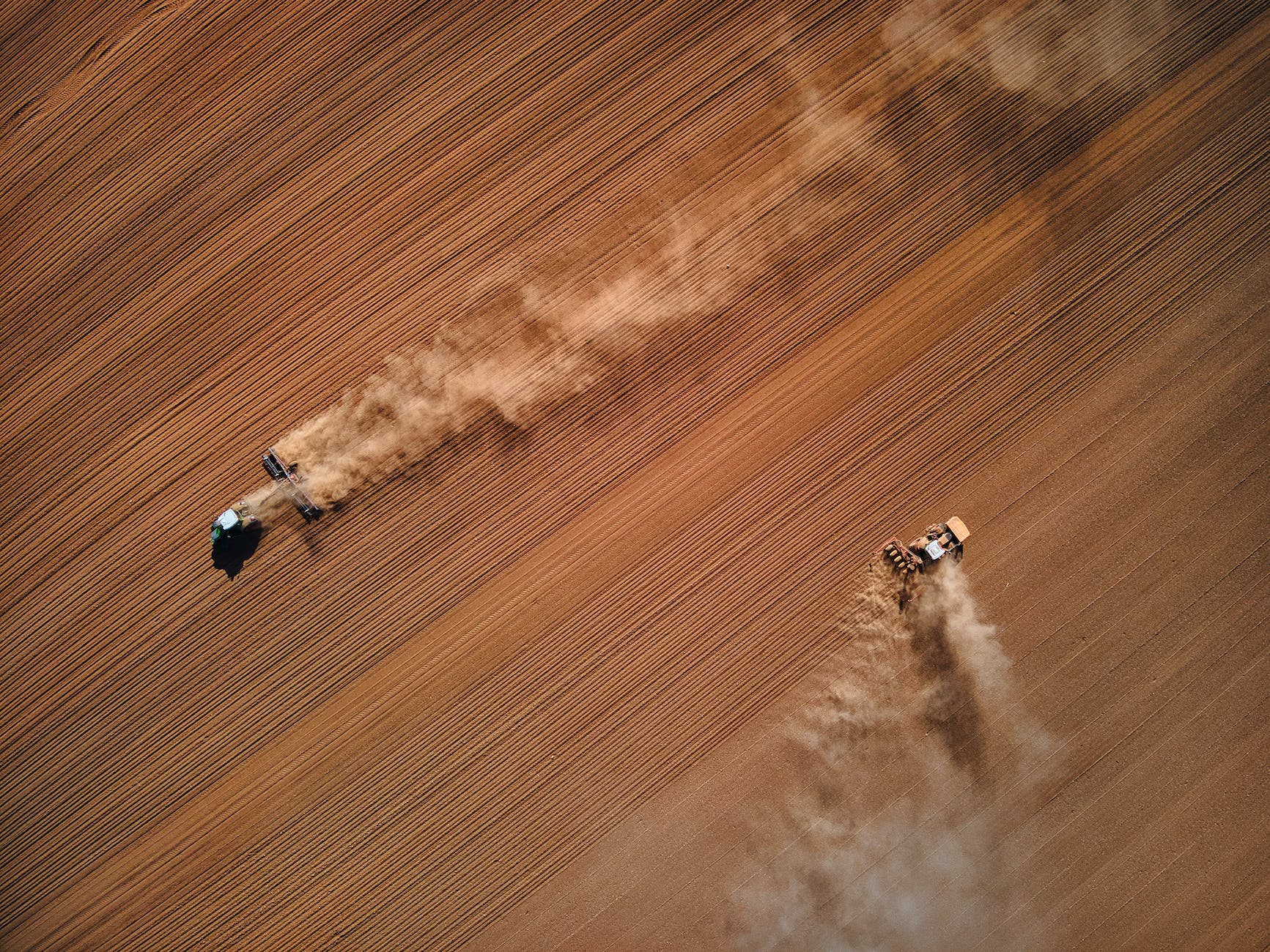 combine harvesters on field