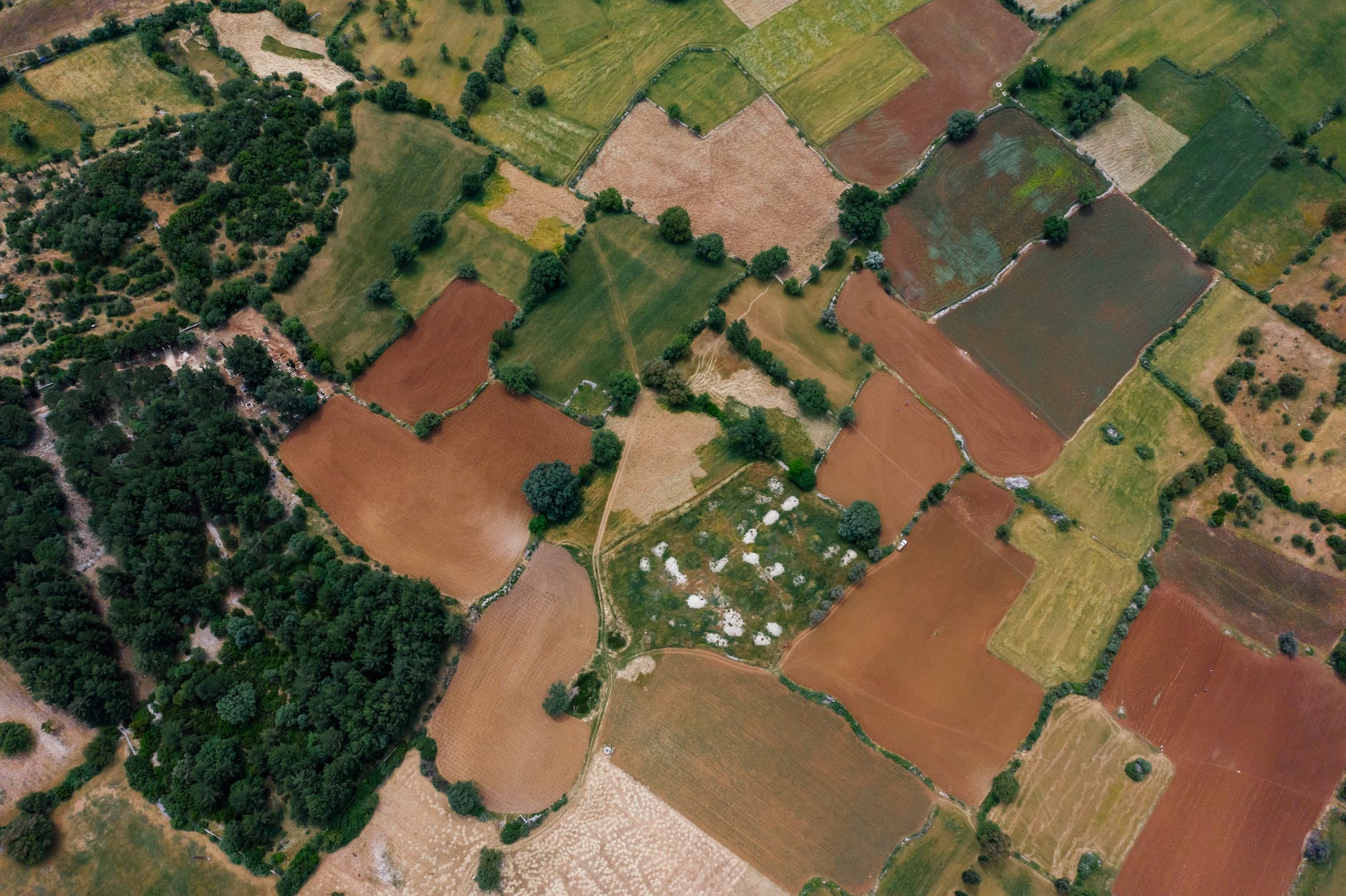 aerial view of fields